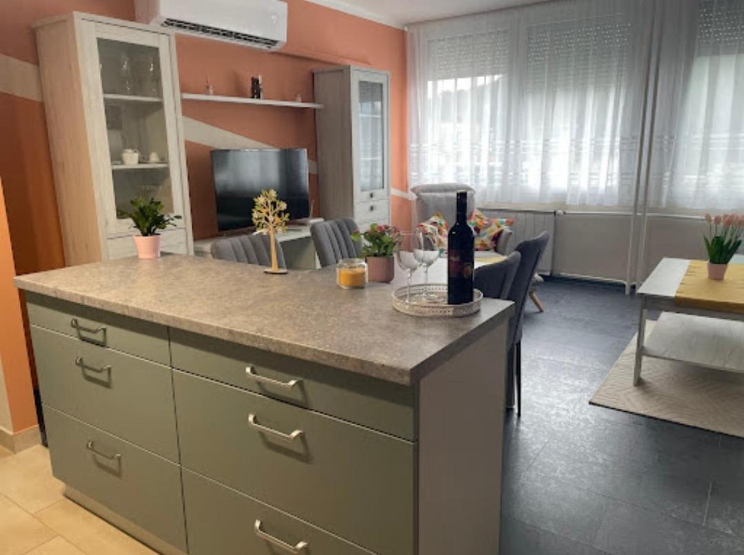 SalgótarjánKrisztina Apartmanアパートメント エクステリア 写真